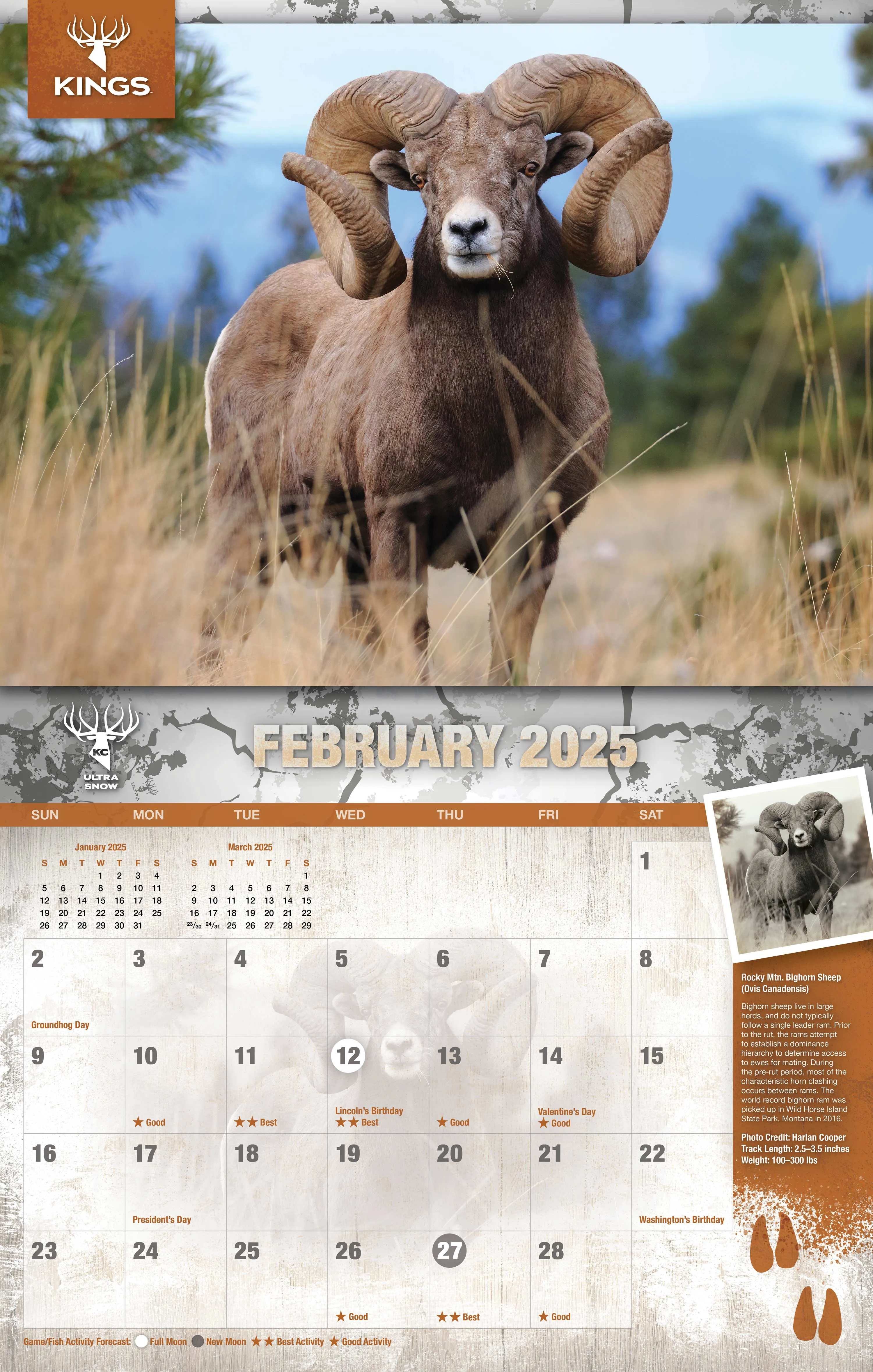 2025 Kings Wildlife Calendar