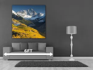 48x48 Custom Canvas