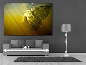 74x52 Custom Canvas