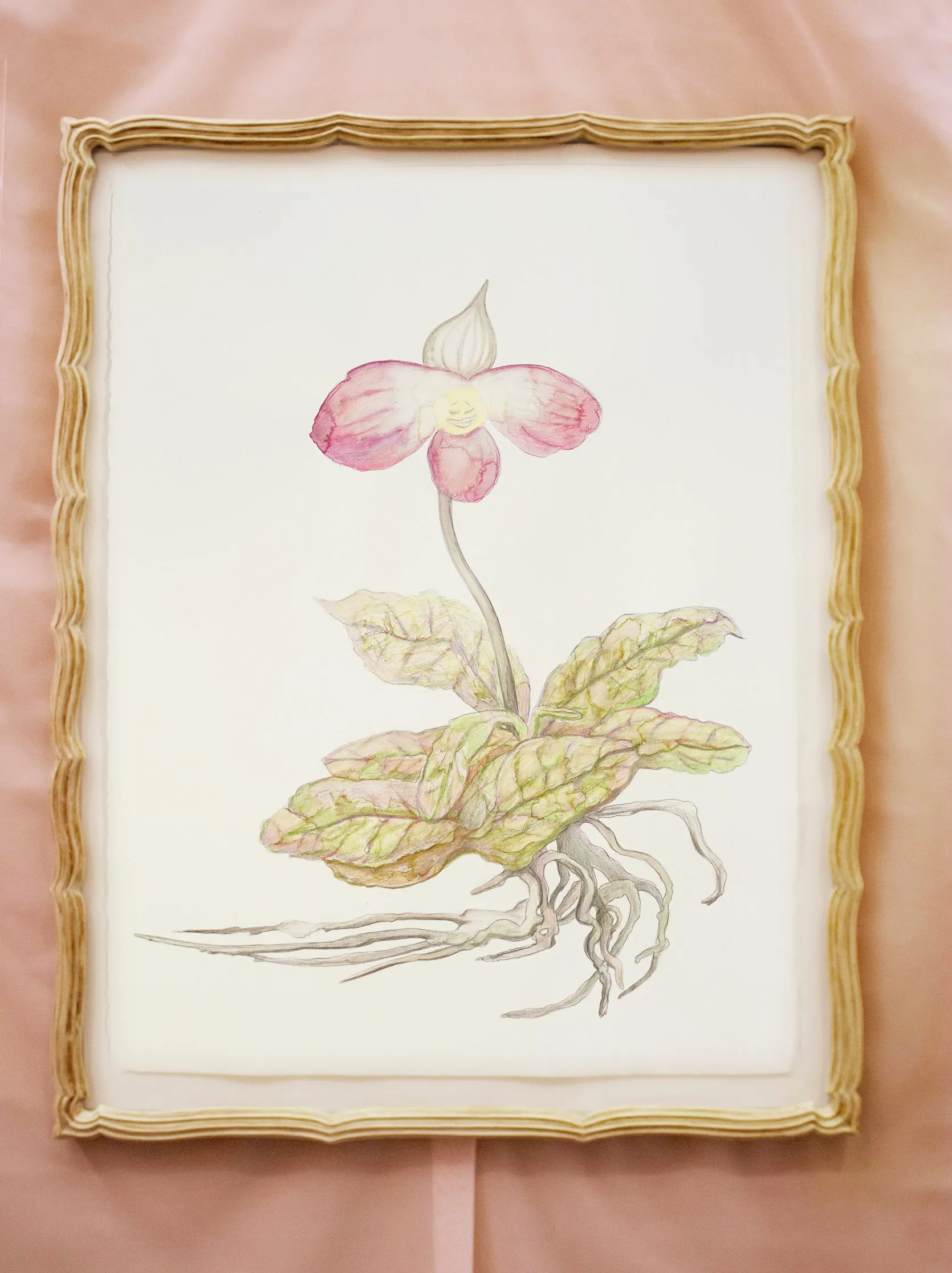 Alina Bliumis, "Endangered Lady's Slipper"