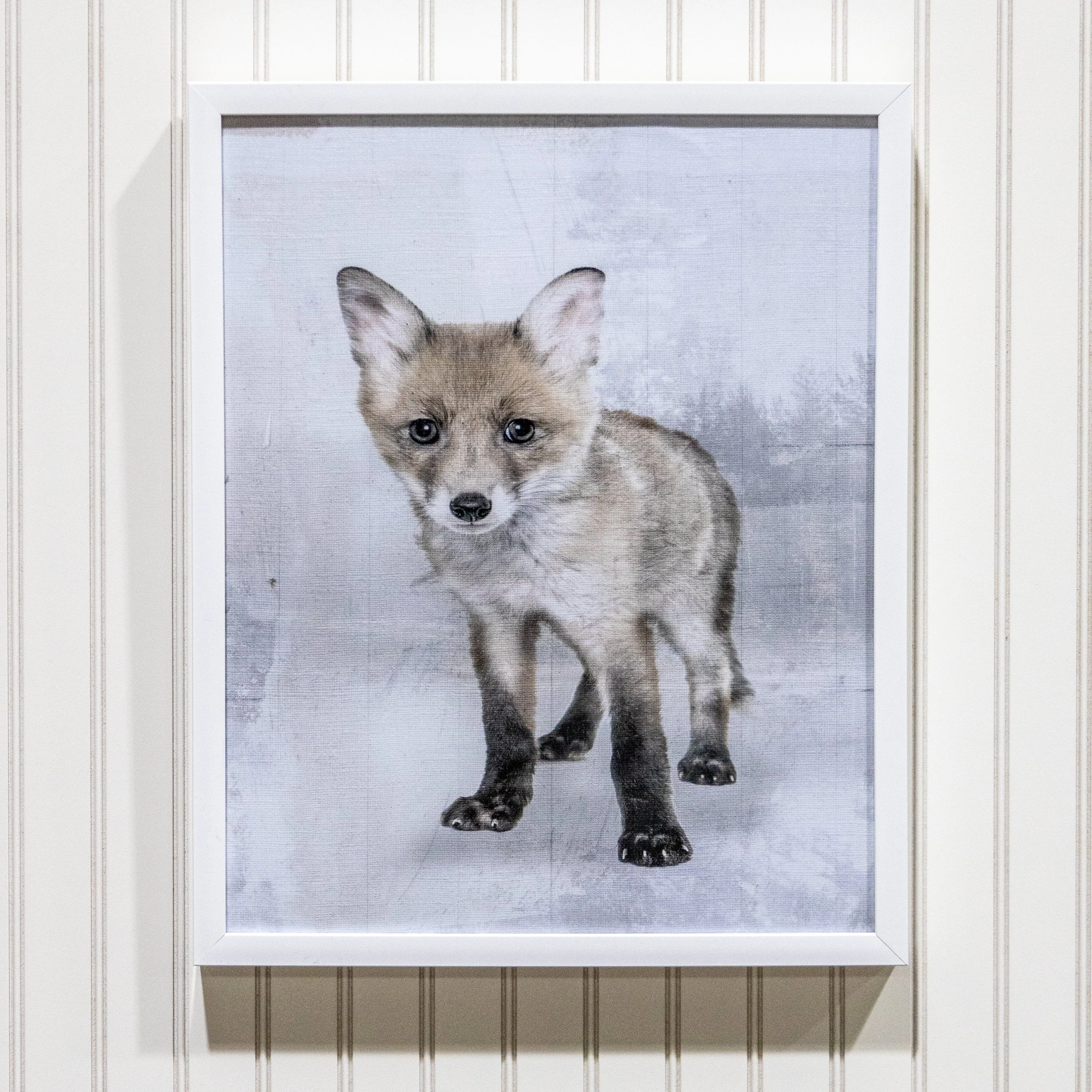 Baby Fox - Framed Canvas