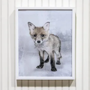 Baby Fox - Framed Canvas