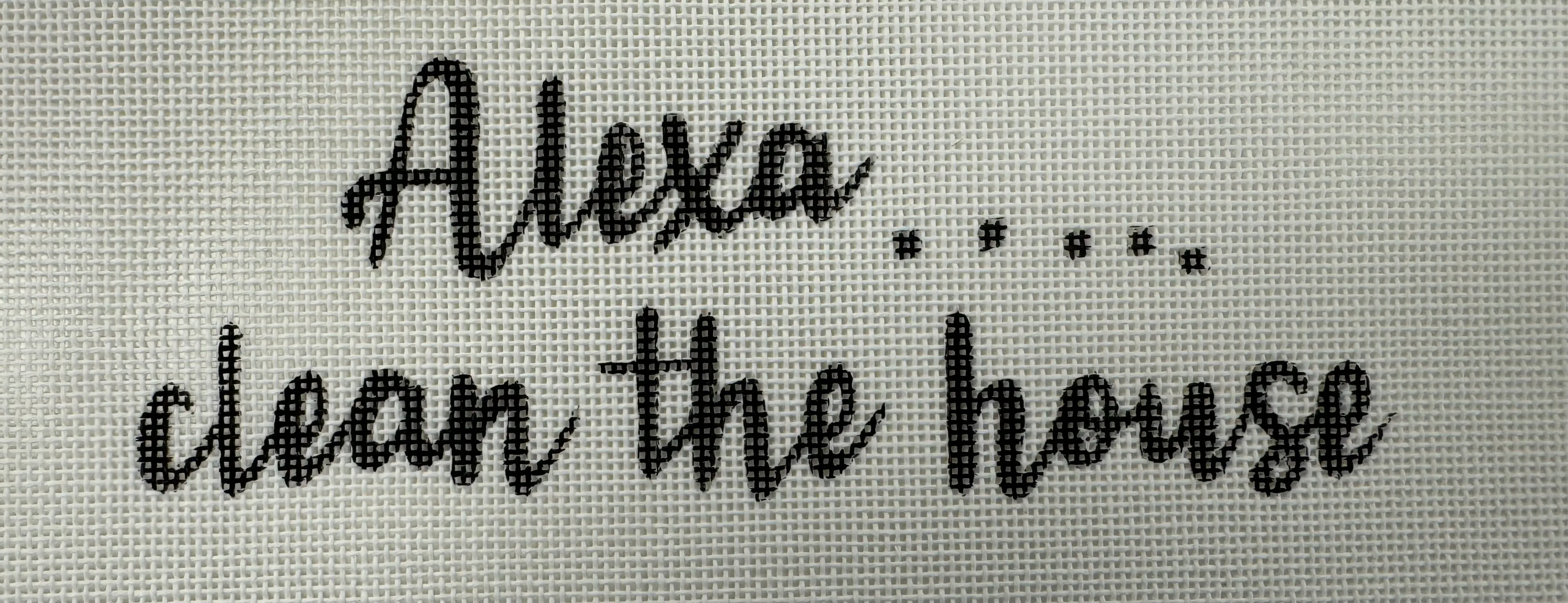 DD-583 Alexa Clean House