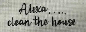 DD-583 Alexa Clean House