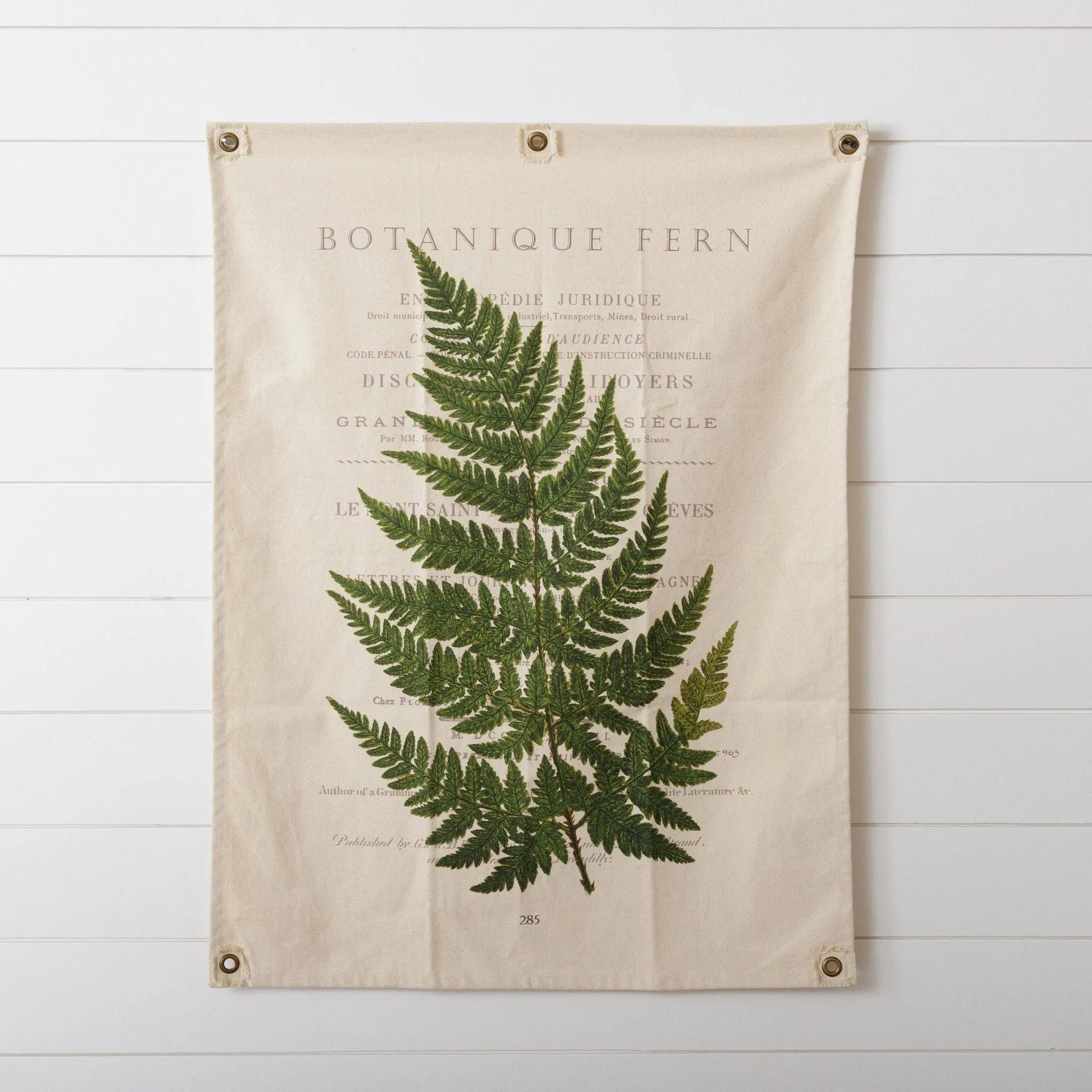 Fern Canvas Hanging
