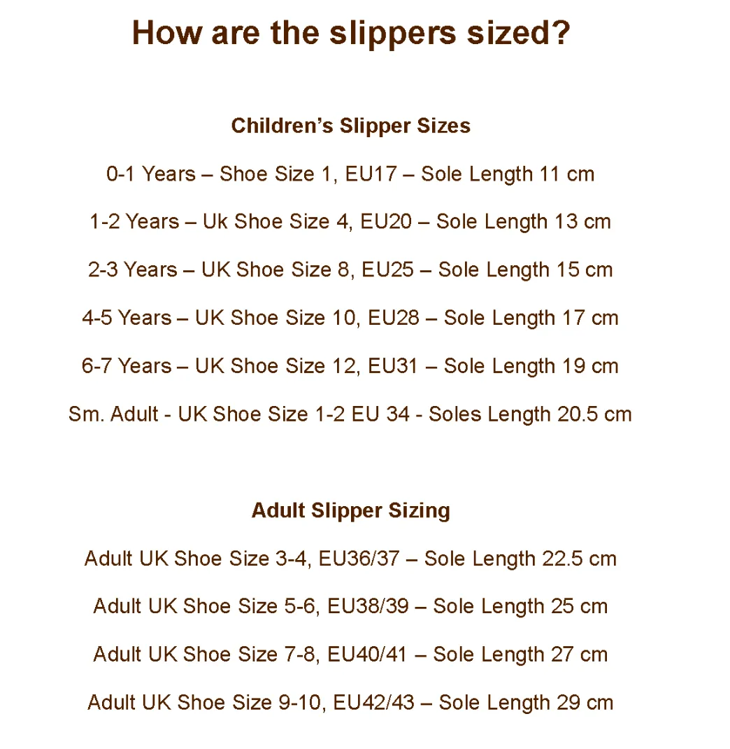 Ginger Cat Slippers Pre-Order