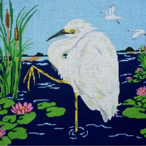 JKNA-032 Snowy Egret