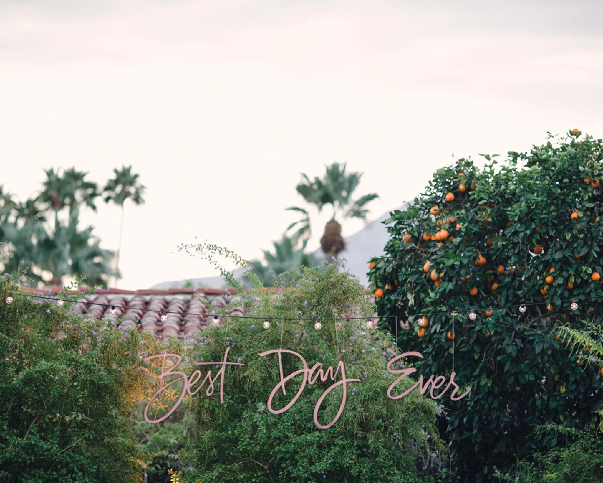Moroccan-Themed <br/> Palm Springs Wedding