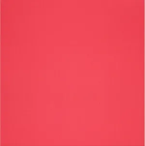 Paper Accents 12x12 80lb Pimento Canvas Cardstock {B707}