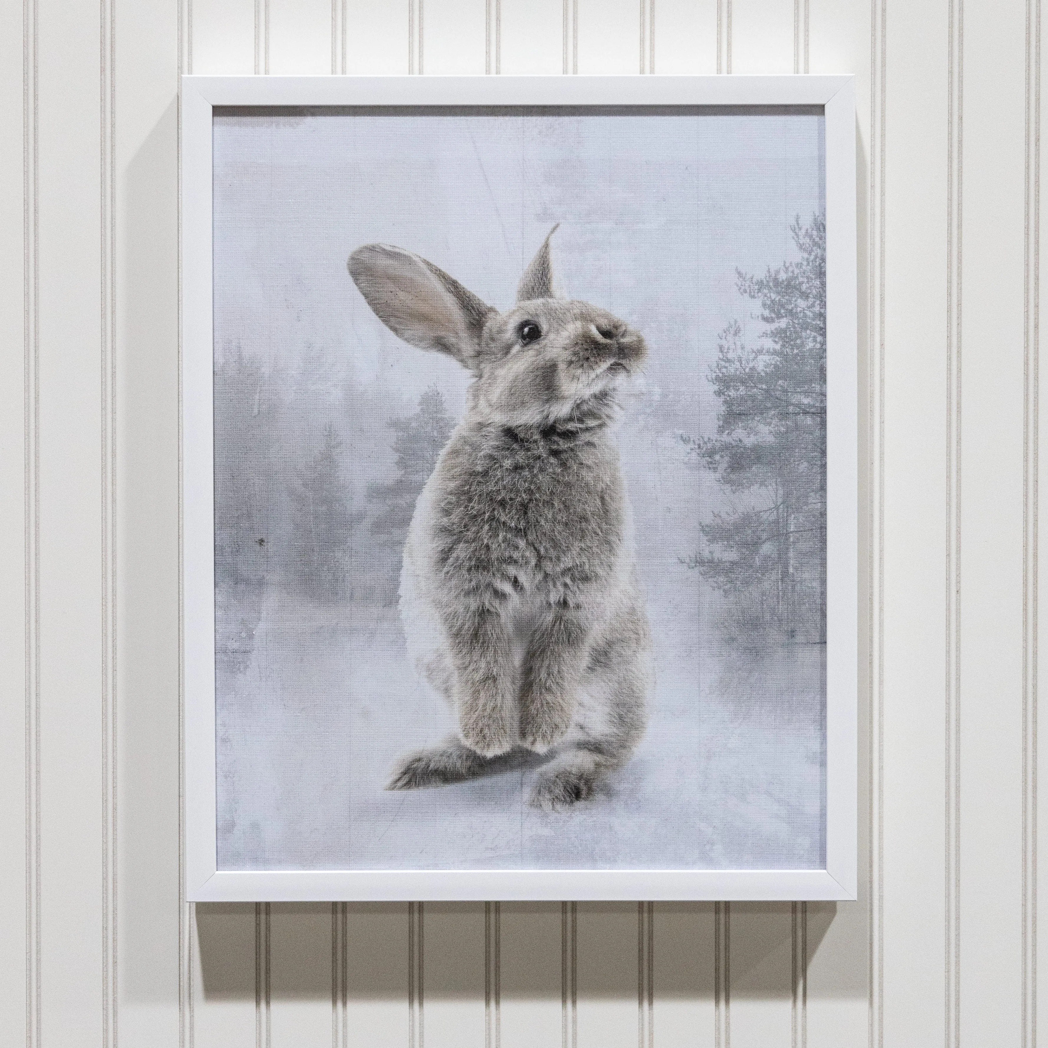 Rabbit - Framed Canvas