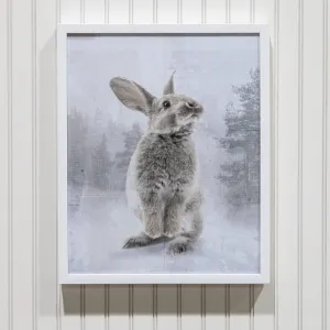 Rabbit - Framed Canvas
