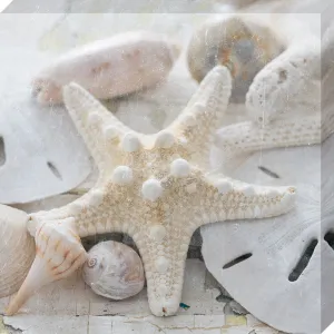 Sanibel I: Gallery Wrapped Canvas