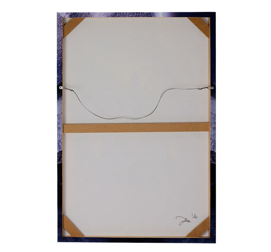 Stargazer Canvas Print