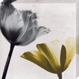Touched by the Sun I: Gallery Wrapped Canvas (2 Sizes)