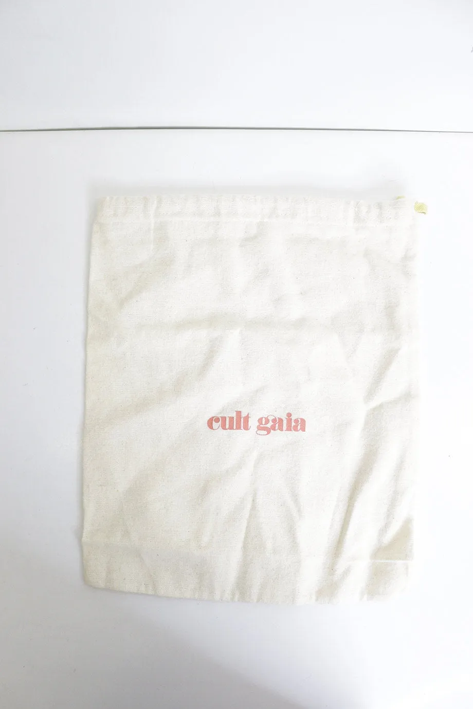 [WS5213] Cult Gaia | High Heel Pump