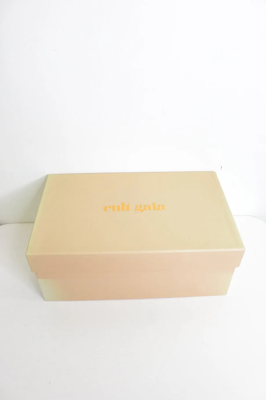 [WS5213] Cult Gaia | High Heel Pump